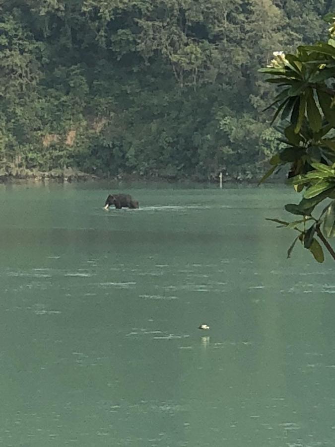 Ganga Forest View Rishikesh Exterior photo